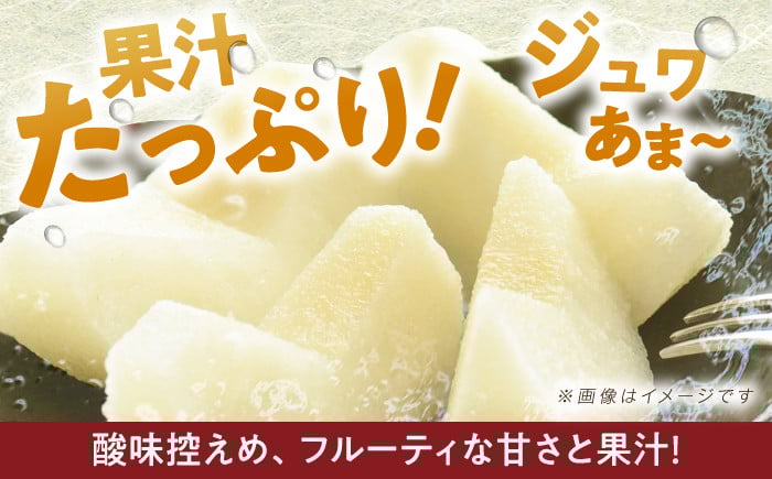 長崎県産 長与町 先行予約 大容量 フルーツ 果物 梨 なし 秋月 あきづき 大容量 お取り寄せ ナシ