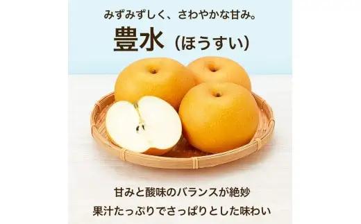 豊水梨 約5kg （ 6 ～ 18玉 ） くだもの 果物 フルーツ 果実 果汁 果肉 食感 甘み 香り 国産 熊本県産 梨 なし ナシ 旬 【 2026年08月上旬発送開始 】