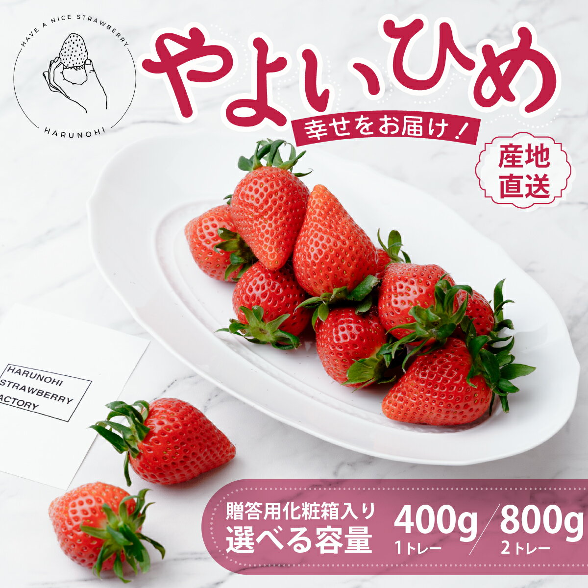 【ふるさと納税】いちご 大粒完熟 「やよいひめ」選べる内容量 2026年 400g 800g｜朝採れ やみつき高品質 たっぷり 贈答用 新鮮 完熟 いちご 旬 苺 ストロベリー 高級 産地直送 果汁 甘い あまい 人気 高評価 群馬県 前橋市