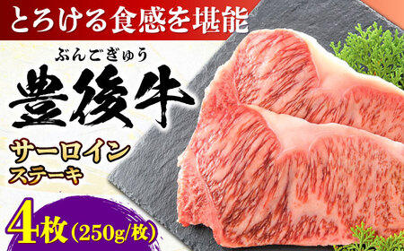 おおいた豊後牛 サーロインステーキ 1kg (250g×4枚) /サーロインステーキ サーロインステーキ サーロインステーキ サーロインステーキ サーロインステーキ サーロインステーキ/日田市 / 株式会社MEAT PLUS[AREI008]