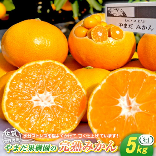 【ふるさと納税】L-32 やまだ果樹園の完熟みかん　5kg