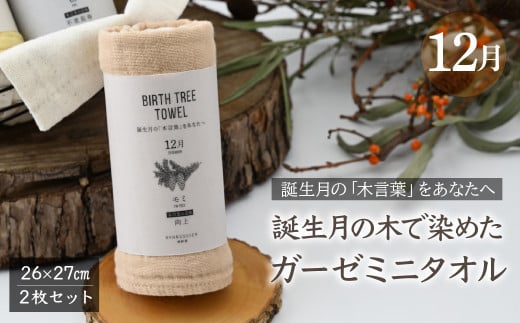 12月「モミ」の木言葉 「向上」　 BIRTH TREE TOWEL  | RYOKUSUIEN 緑酔園 草木染め THE NEWOLD WORKS バースツリータオル モミ ガーゼ タオル ハンカチ  ふわふわ 植物 草木染ガーゼ アップサイクル エシカル ヘリンボーン ギフト贈り物 お祝い プレゼント 母の日 父の日 記念日 誕生日 埼玉県 草加市 草加