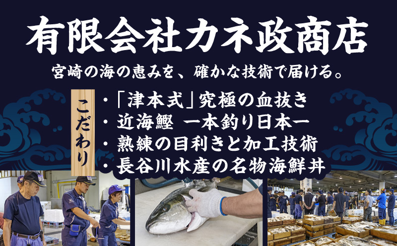 宮崎市獲れ！天然カツオのたたき カツオ タタキ 魚