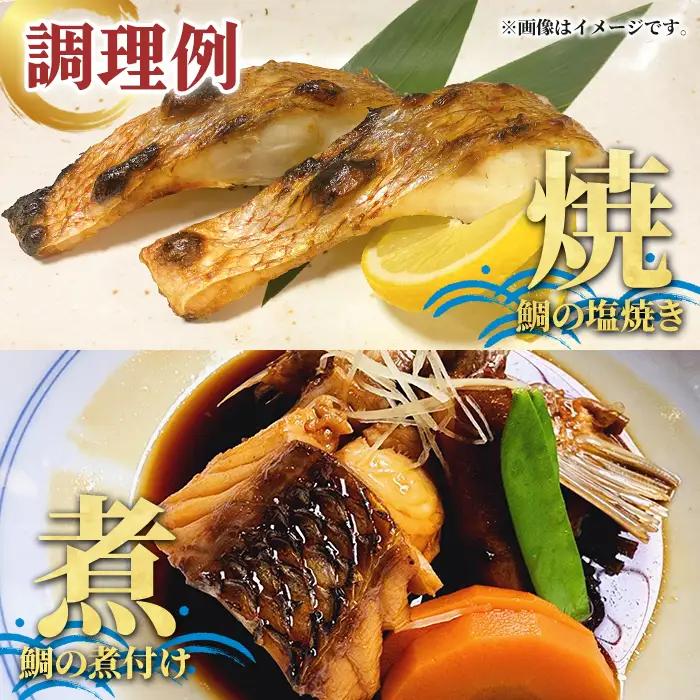 養殖真鯛切身(約2kg) 鹿児島県 阿久根市 たい タイ 真鯛 魚貝 魚介 海産物 切身 切り身 煮物 煮つけ 焼き魚 おかず おつまみ 小分け 【さるがく水産】akn028-47