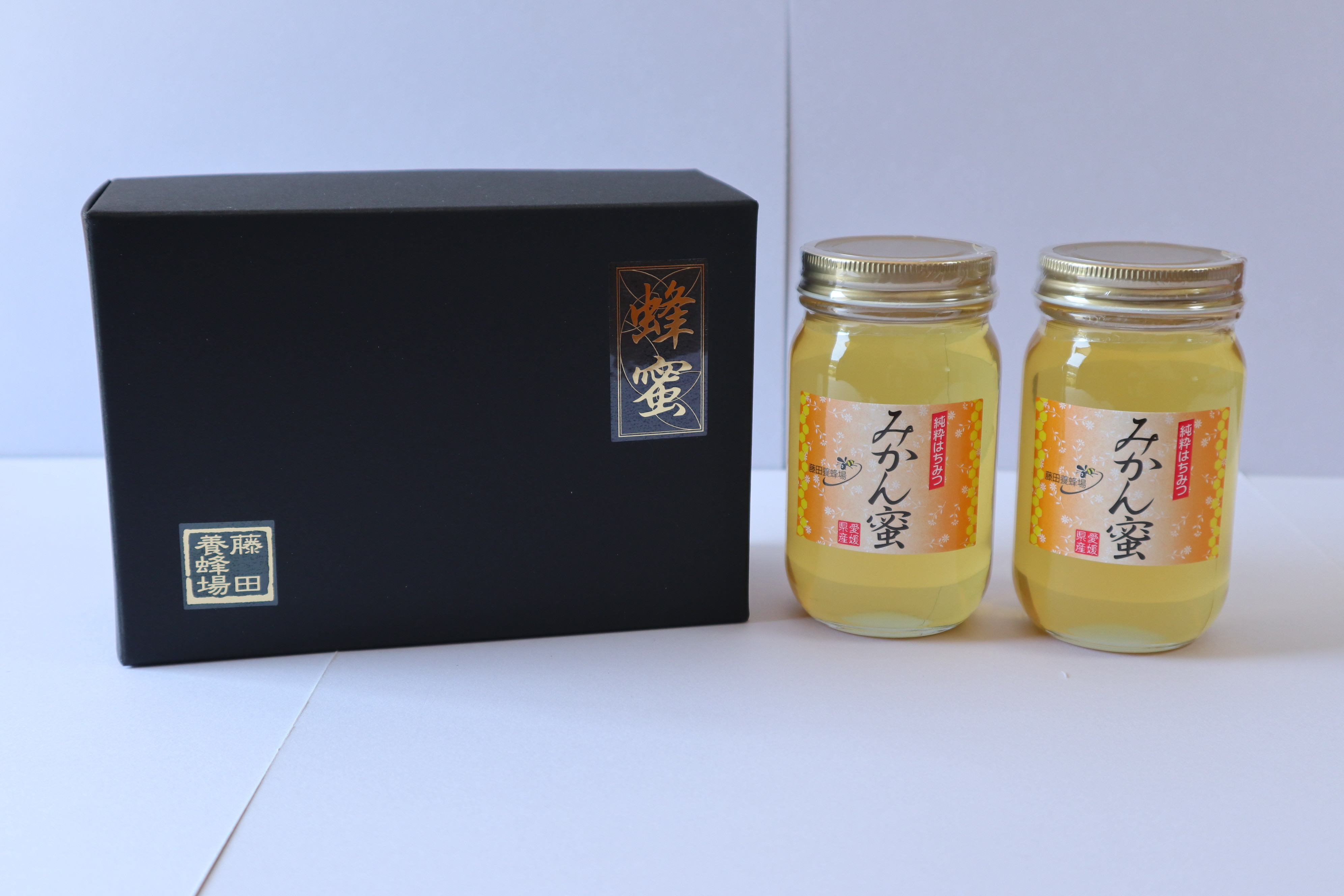 
            はちみつ みかん蜜 2本 柑橘 みかん 純粋はちみつ 愛媛県産 藤田養蜂場 伊予市｜B250
          