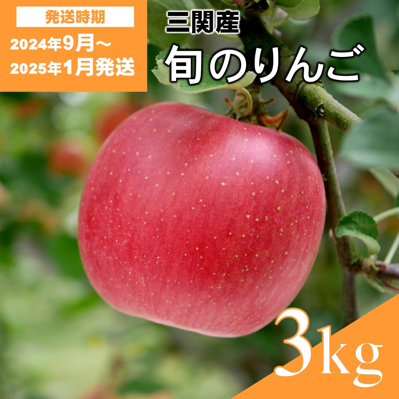 
三関旬のりんご3kg満杯詰め[J5-15101]
