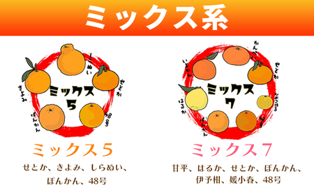 西予市産柑橘ジュエリーボックス３本入り（無添加果汁100％ジュース） ATI0005