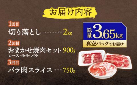 【3回定期便】ジビエ 天然イノシシ肉 人気部位 総量3.65kg / 猪肉 いのしし イノシシ 猪鍋 ぼたん鍋 肉 切り落とし肉 スライス肉 ミンチ肉 いのしし肉【照本食肉加工所】 [OAJ076]