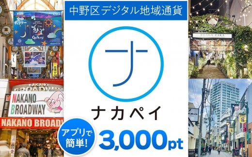 
            ナカペイふるさと納税ポイント 3,000円分
          