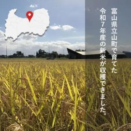 【令和7年産】玄米 ヘルジアンウッド米 30kg　富山県産コシヒカリ【1726417】