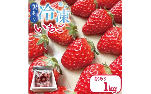 訳あり いちご 冷凍 紅ほっぺ あまえくぼ 1kg 冷凍いちご 人気 果物 フルーツ 冷凍フルーツ フローズン スムージー ヨーグルト アイスクリーム 新鮮 旬 冬 春 ケーキ ショートケーキ デザート ギフト 贈り物 贈答 イチゴ 苺 ストロベリー 徳島県 吉野川市 あんいちご園