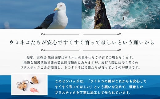 天売島の想いを込めた「ウミネコ雛ピンバッジ」