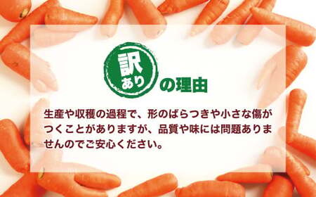 【訳アリ】岩手町産の旬野菜（にんじん）約5㎏ ニンジン 人参 大容量 ５kg  ワケアリ 訳あり 家庭用 規格外 不揃い 産地直送 送料無料 岩手県 岩手町