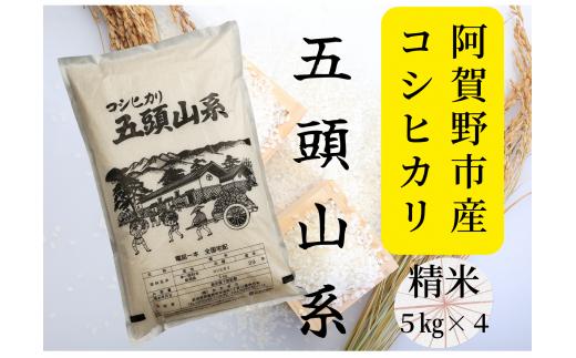 【令和7年産】「米屋のこだわり阿賀野市産」コシヒカリ どーんと20kg (5kg×4袋)！ 新潟産コシヒカリ 米屋かたぎり 1E03068