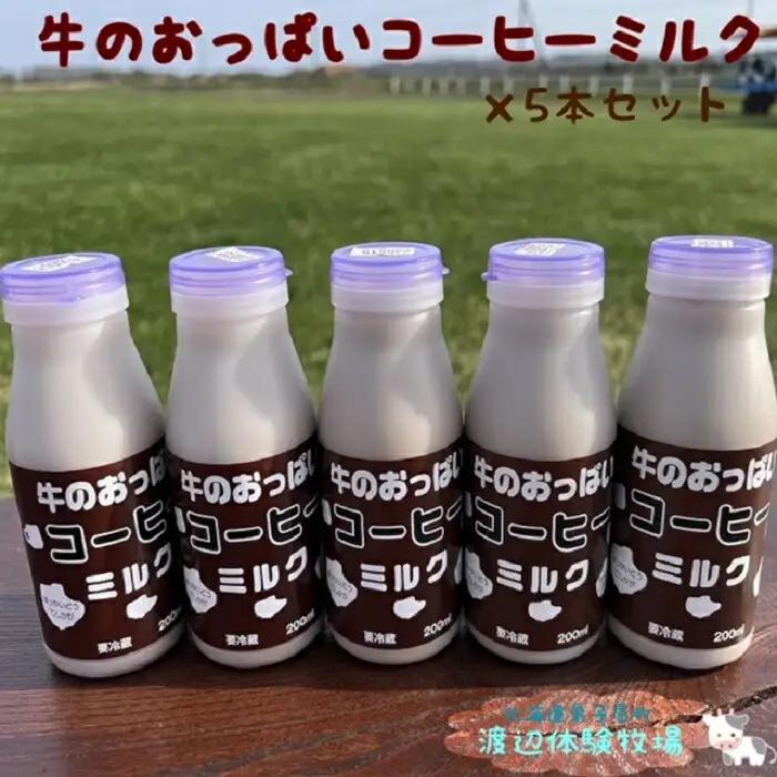 牛のおっぱいコーヒーミルク５本セット 1852