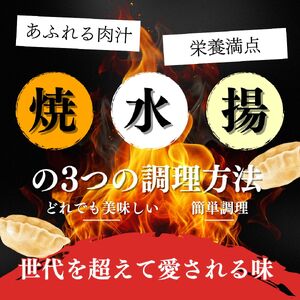 餃子 越後まるきよ餃子 6袋 セット ぎょうざ ギョウザ ごはんのお供