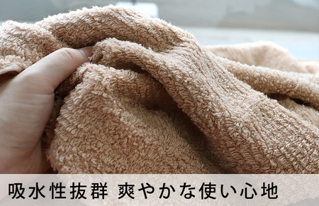 （今治タオルブランド認定品）今治タオル 速乾Daily フェイスタオル12枚セット＜ライトグレー＞ヒオリエ  【I001220FT12LGY】