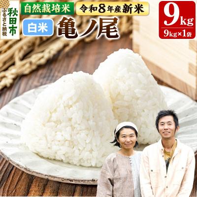 ふるさと納税 秋田市 新米 受付 令和8年産 自然栽培米 亀ノ尾 精米 9kg|15_myn-4x0901h