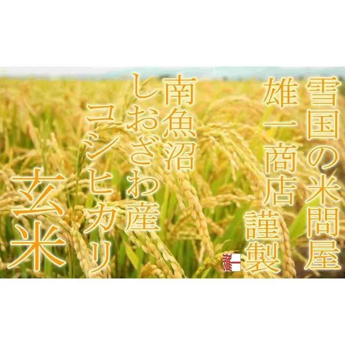 【令和7年産】●玄米● 【定期便2Kg×3ヶ月】生産者限定 南魚沼しおざわ産コシヒカリ【定期便 銘柄米 ブランド米 玄米 こしひかり コシヒカリ 魚沼産 新潟米 産地直送 お米 米 こめ コメ ご飯 