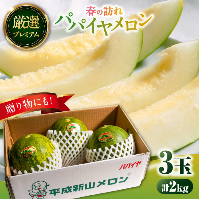 【2026年3月中旬~発送】【平成新山メロンPREMIUM（とみちゃん厳選）】パパイヤメロン 3玉 / メロン めろん 青肉 糖度 果物 くだもの フルーツ ふるーつ 旬 高級 ギフト / 南島原市 / うえだメロン園 [SAD001]