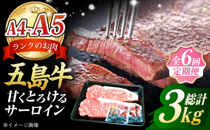 
            【全6回定期便】 やみつき 五島牛 サーロインステーキ 2枚入り A4 A5 冷凍 牛肉 国産牛 ブランド牛 和牛 長崎和牛 サーロイン ステーキ 贈答 高級 贈り物 贅沢 五島市/肉のマルヒサ [PCV020]
          