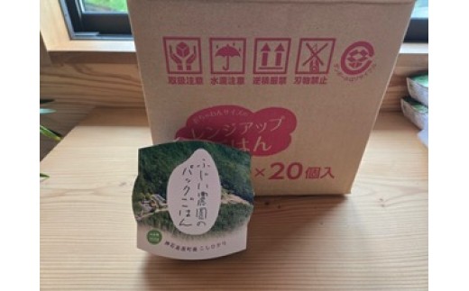パックごはん20個入り