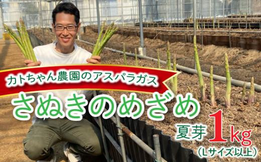 期間限定 アスパラガス (さぬきのめざめ) 夏芽 1kg カトちゃん農園