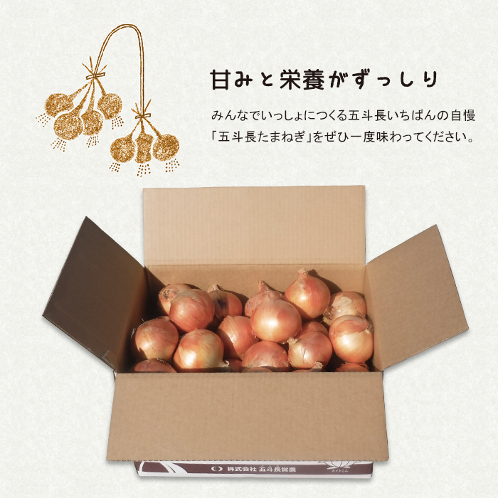 五斗長玉ねぎ 20kg　玉ねぎ