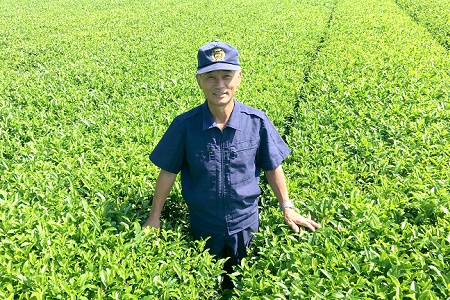003-05 片野坂製茶 知覧茶煎茶なつめ缶ギフト