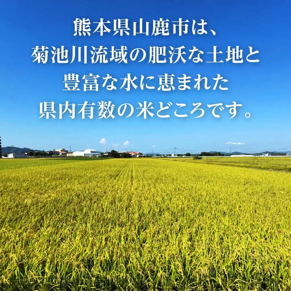 【先行予約】【3回定期便】山鹿市産 ヒノヒカリ 白米  10kg 【奥村果実園】[ZFK014]