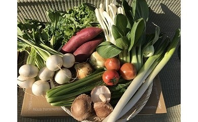 【3ヶ月定期便】自然栽培野菜10～12品目（3・4月は白米5kg）野菜 米 白米 詰合せ