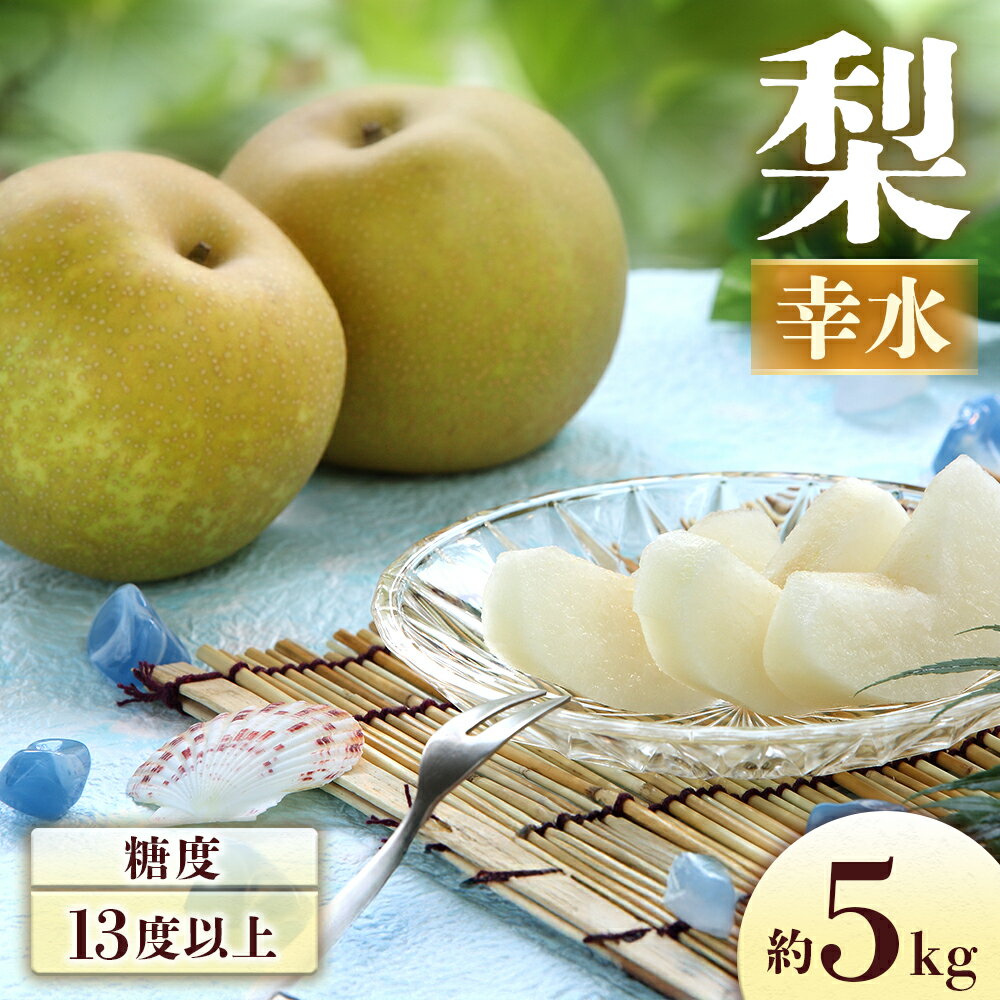 【ふるさと納税】＜先行予約＞梨 幸水 約5kg[8〜16玉]　※2025年発送　先行予約分※