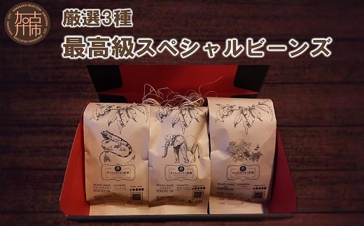 
                  ＼お中元／最高級スペシャルビーンズ 厳選3種《 焙煎豆 焙煎 コーヒー 珈琲 》
                
