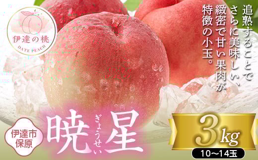 
            福島県産 暁星 3kg 2025年7月上旬～2025年7月中旬発送 2025年出荷分 先行予約 予約 伊達の桃 ぎょうせい 小玉 桃 もも モモ 果物 くだもの フルーツ 国産 食品 F20C-896
          