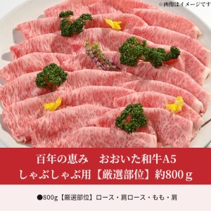 A01102　百年の恵み　おおいた和牛A5　しゃぶしゃぶ用【厳選部位】約800ｇ