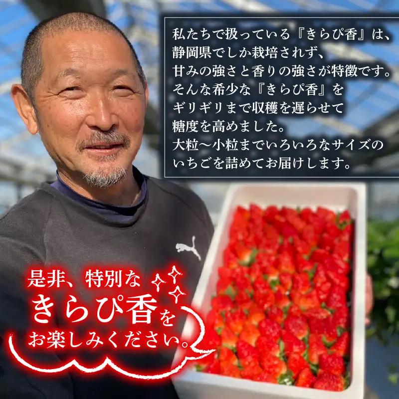 冷凍いちご いちご きらぴ香 1kg 苺 【冷凍いちご】 鈴木農園