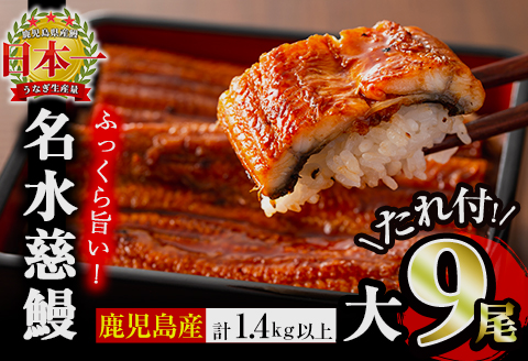 鹿児島県産うなぎ蒲焼 名水慈鰻 大9尾(1尾160g以上)＜計1.4kg以上＞ e8-001
