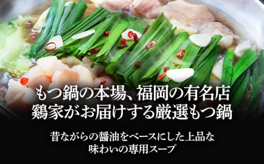 鶏家特選もつ鍋セット（３～４人前×３セット）