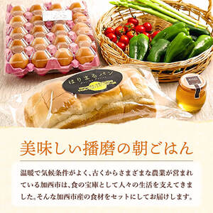 モーニングセット 播磨特選 パン 卵 野菜 モーニングセット