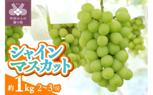 〈2026年度配送分〉甲府市産　シャインマスカット　約1.0kg（2～3房）