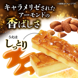 アーモンドロック 20袋 × 2箱 (2本入×40袋 計80本 ) お菓子 スイーツ おやつ フロランタン 常温 手土産 ギフト お土産 プレゼント 誕生日 アーモンド ナッツ クッキー 岩手県 大船