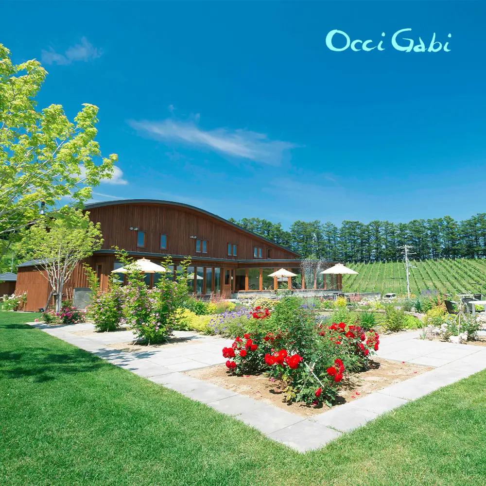 【OcciGabi Winery】ドルンフェルダー 【余市のワイン】 余市 北海道 赤ワイン ドルンフェンダーワイン 人気ワイン おすすめワイン 余市のワイン 北海道のワイン 日本のワイン 国産ワイン
