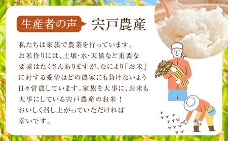 先行予約【3回定期便】北海道八雲町熊石産 令和7年産ゆめぴりか(精白米) 10kg(25年10月上旬～発送開始) | 米 米 米 米 米 米