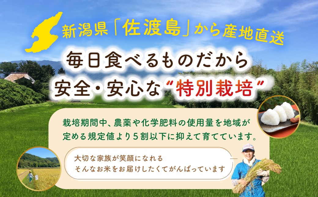 【令和8年産新米 12ヶ月】佐渡島産コシヒカリ 玄米 5kg 特別栽培米