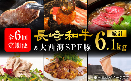 【スタメン揃い！】【6回定期便】 長崎和牛 大西海SPF豚 定期便 ブランド国産豚 訳あり ＜大西海ファーム＞ [CEK185]