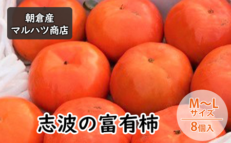 柿 志波の富有柿 M～Lサイズ×8個入 マルハツ商店 果物 フルーツ 秋の味覚 秋 おやつ デザート 産地直送 ブランド 柿の王様 福岡県産 朝倉市産 