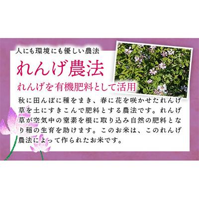 ふるさと納税 幸手市 レンゲ米　こしひかり　無洗米・精米　4.5kg×2袋 |  | 01