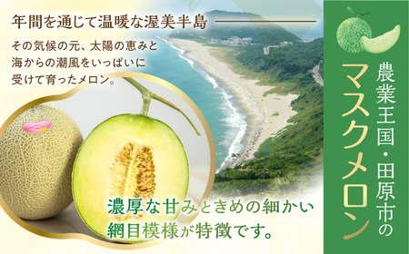 《先行予約》マスクメロン プレミアム 2玉 伊良湖メロン男子