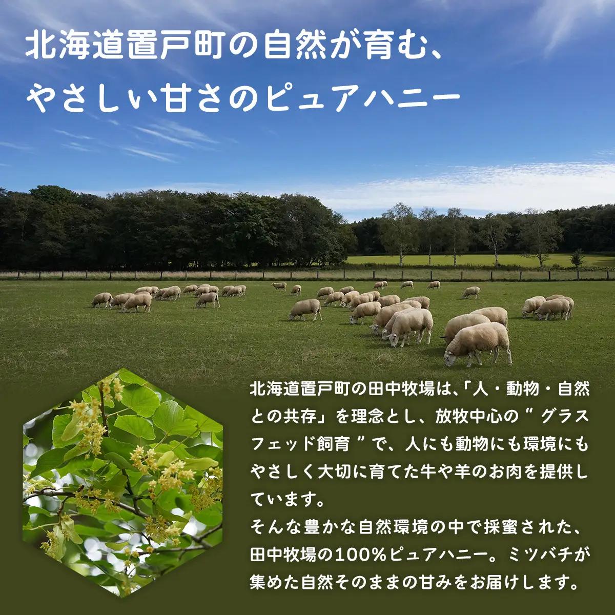 【数量限定】100%ピュア田中ハニー OTH003