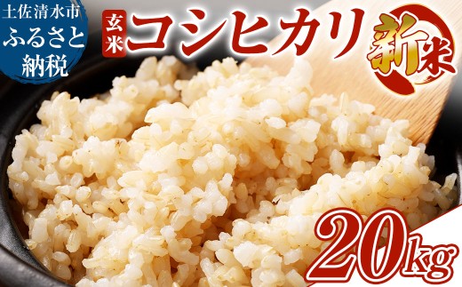 令和8年産新米 コシヒカリ玄米20kg（10kg×2袋）お米 健康食品 20000g 20キロ おこめ 米 ごはん 飯 こしひかり ブランド米 常温 国産 高知県 土佐清水市【R01737】